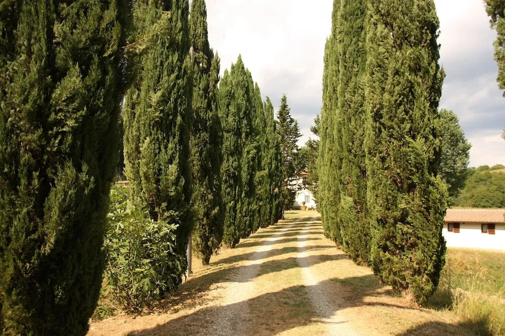 Fattoria Della Nave