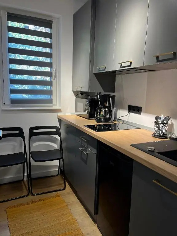 Alexander Cozy Apartment FREE PRIVATE PARKING