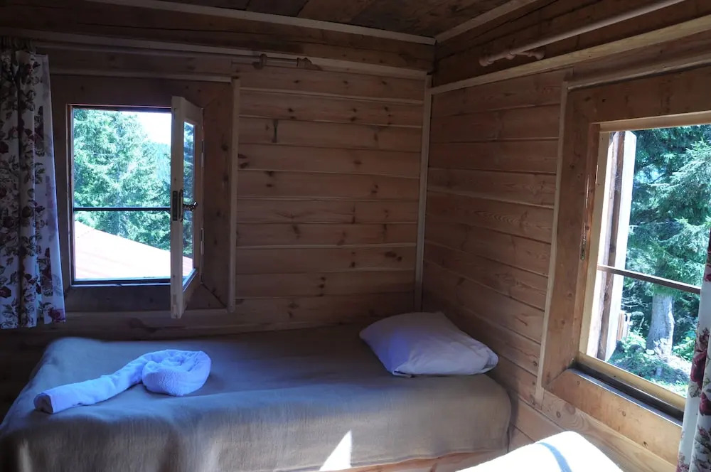 Tanevit Dag Evi