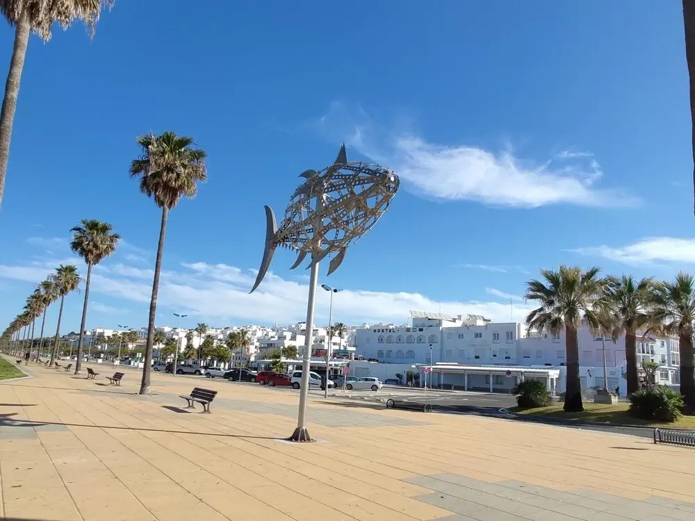 Avenida de la Playa 23537