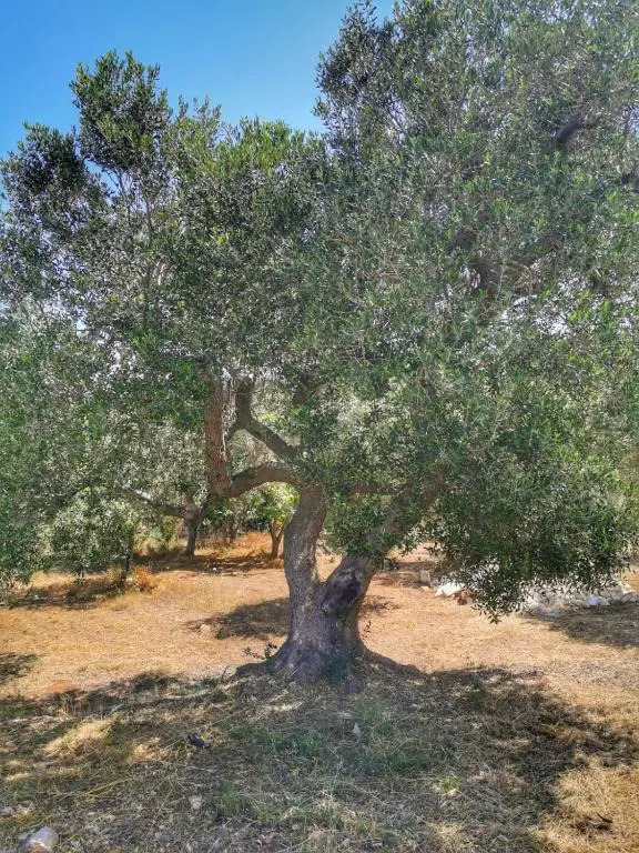 La Cabane Ostuni Sea View Holiday Home