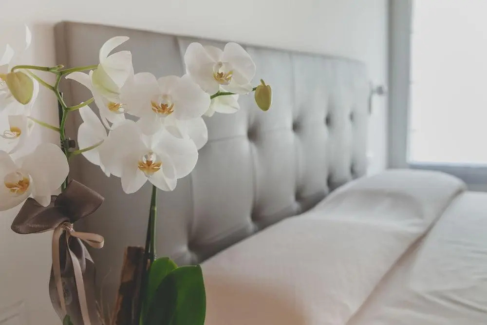 Terra Ferma Rooms&More