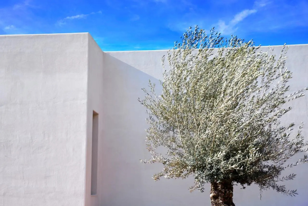Hotel Boutique Mi AlmaZara