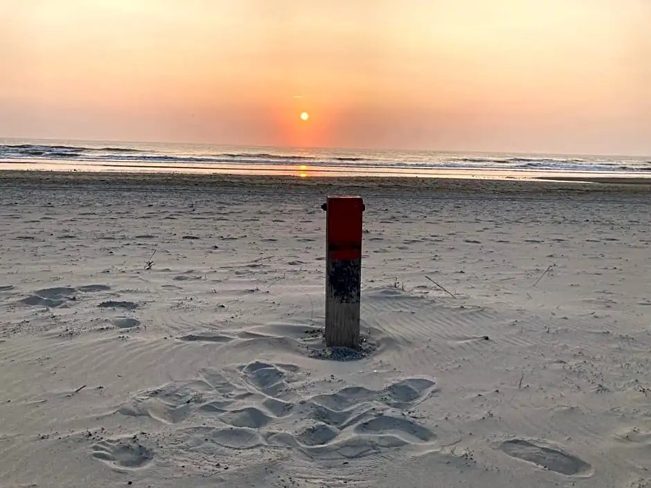 Zilt Texel