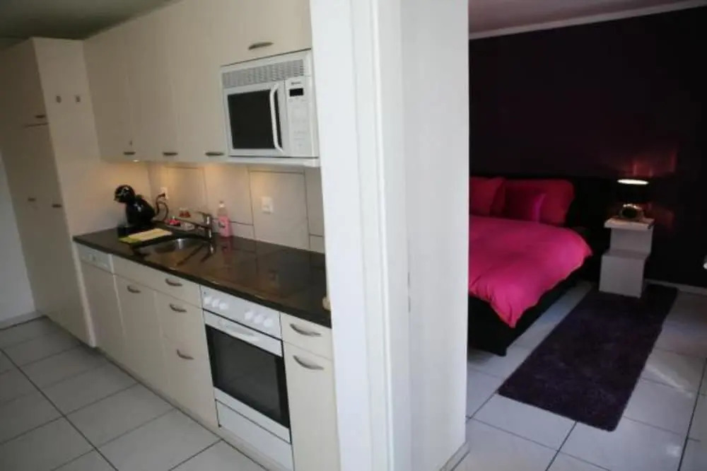 Swiss Interlaken Apartment Luxury