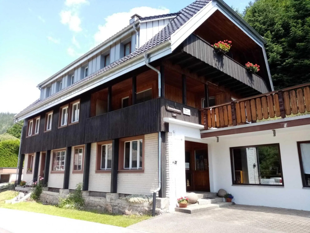 Flat in St. Blasien With Balcony