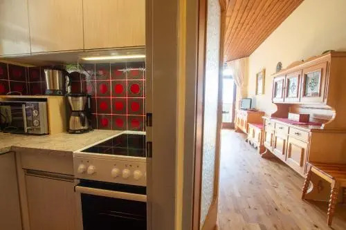 Apartment Schmid - Steinbock Lodges