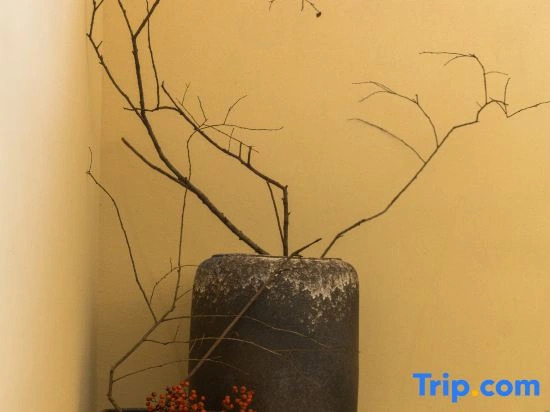 Qipo Homestay (China Ceramics Museum Tao Yang Alley)