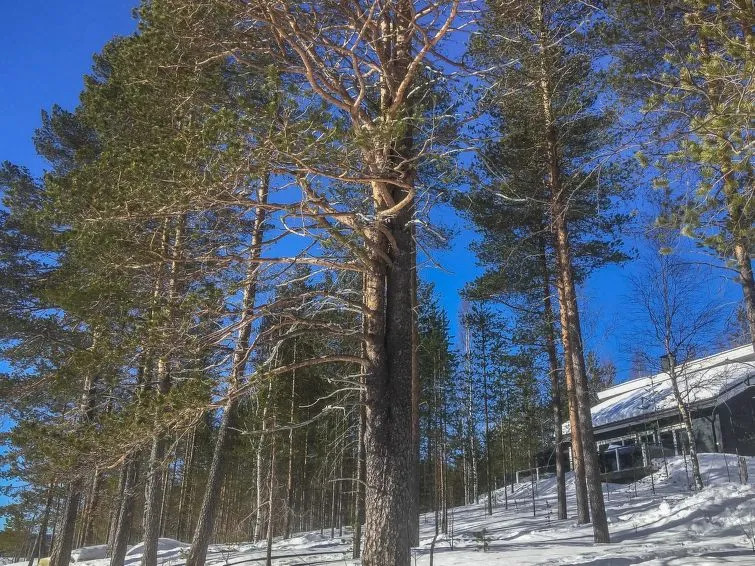 Holiday Home Villa vihtori