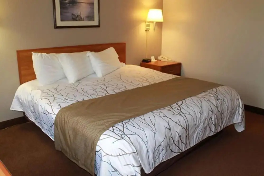 Edmore Inn
