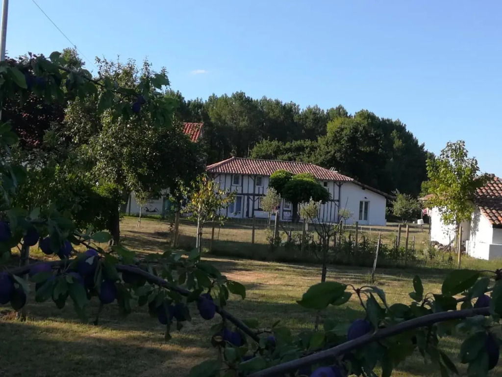 Gite Taller, 4 pièces, 9 personnes - FR-1-360-582