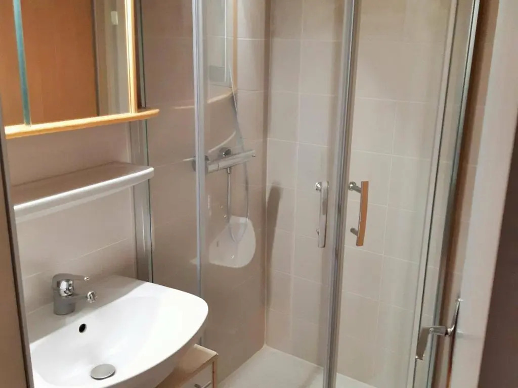 Appartement Les Deux Alpes, 1 pièce, 2 personnes - FR-1-516-39