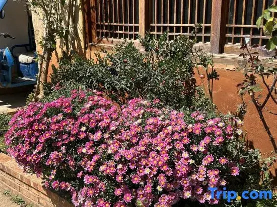 Xiangmo Youth Hostel