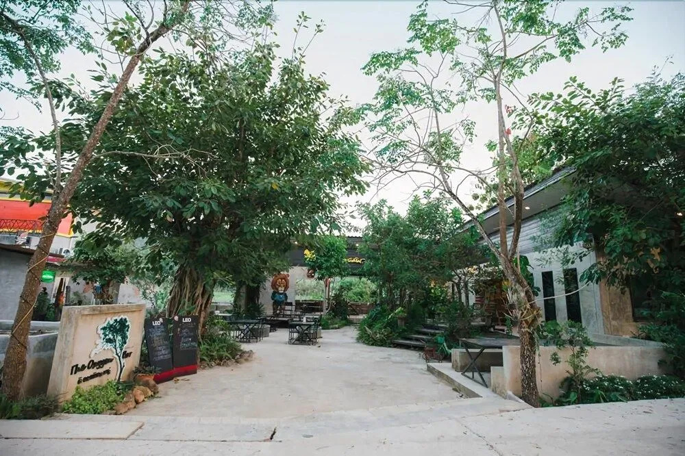 Oxygen Homes&Hills