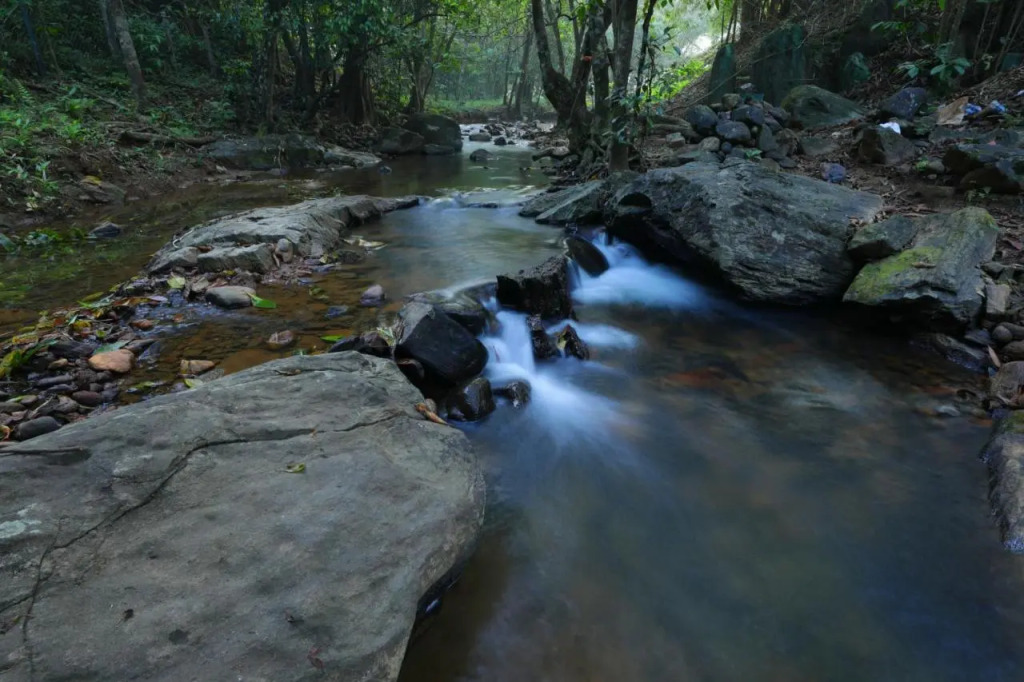 Abad Brookside Wayanad