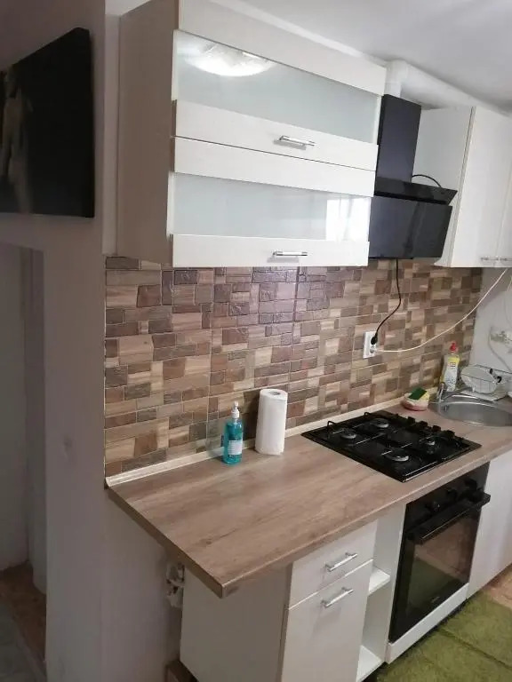6 Ecaterina Varga st. Apartment
