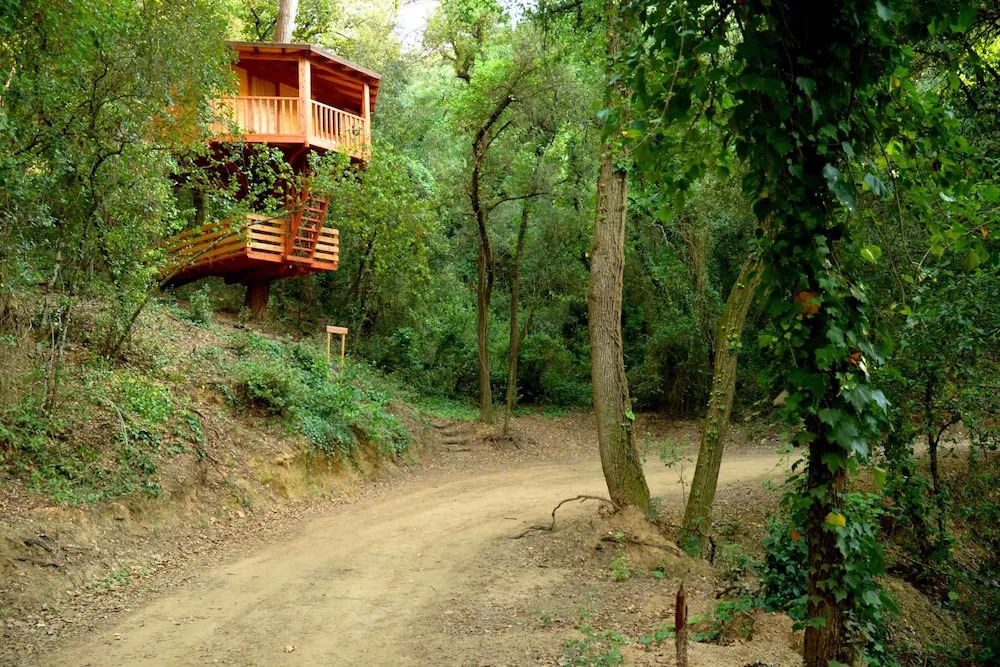 Cabanes Dosrius