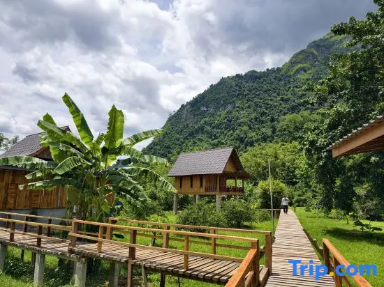 Eco Farm Stay and Hostel