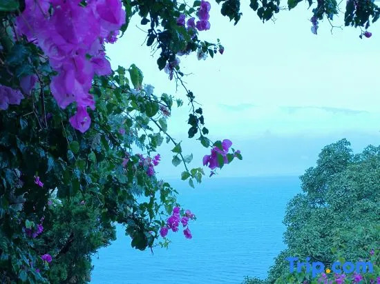 Dali Xiyan Xiaozhu Homestay (Shuanglang Scenic Area Center Branch)