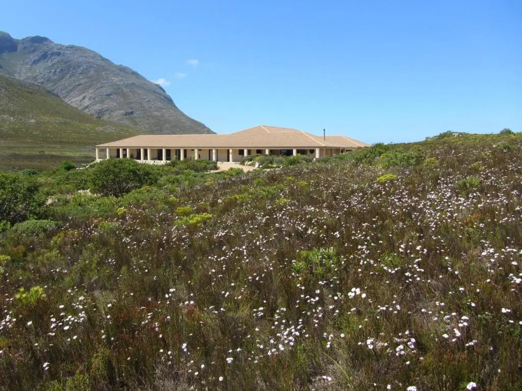 Kapensis Guesthouse  Ltd