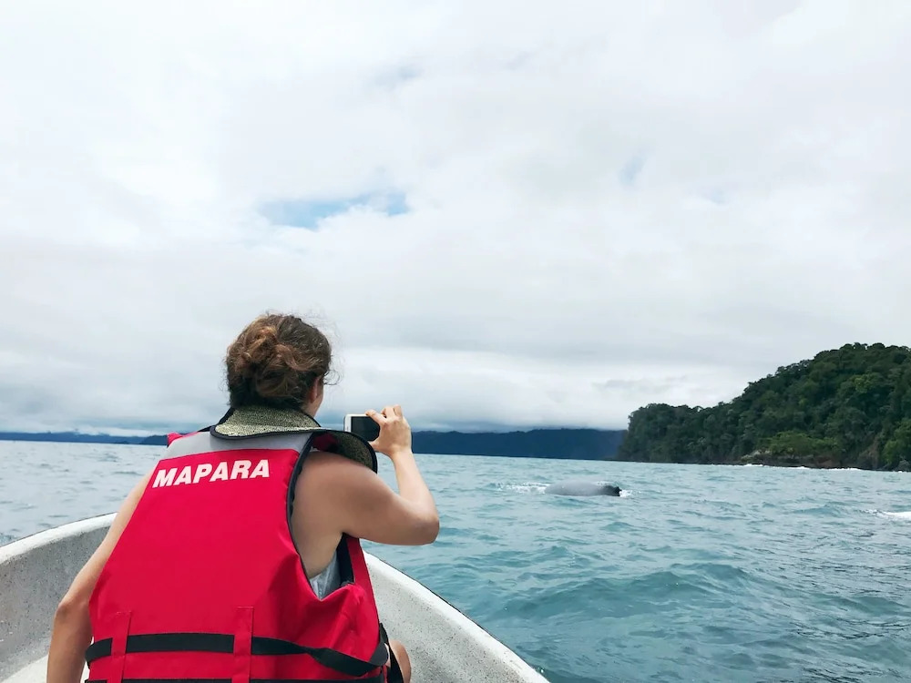 Mapara Lodge