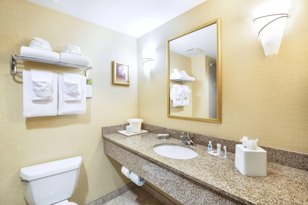 Comfort Suites Goodyear-West Phoenix