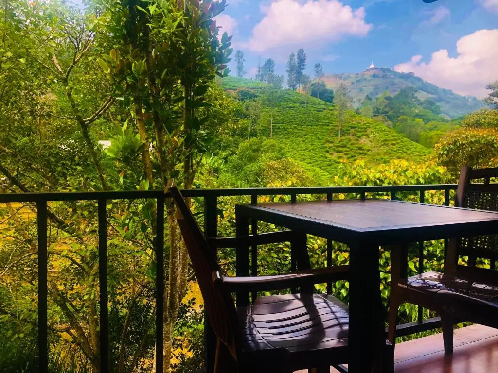 Wild Resort Ella