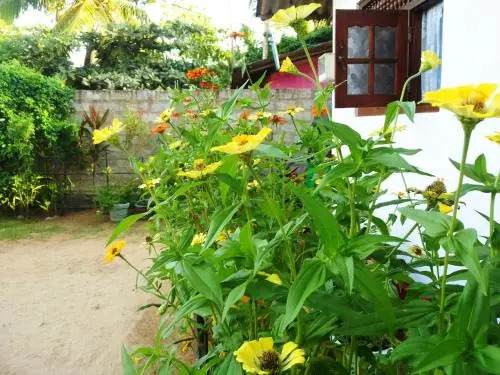 Maya Guest House