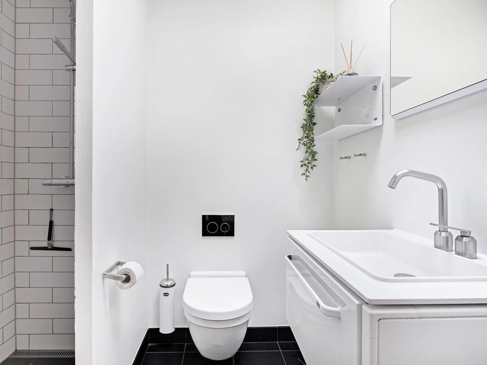 Sanders King - Cute 3-bdr Apt in City Center