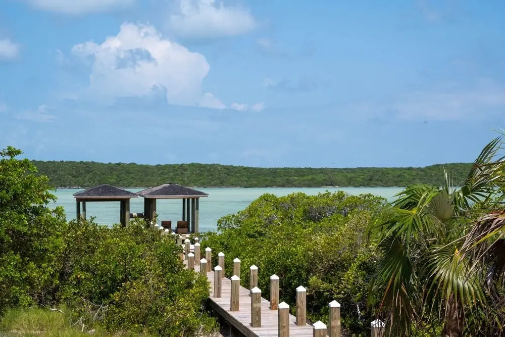 Turtle Pointe - Lux New Windermere Home W/pool, Boat Dock, Beach 3 Bedroom Home