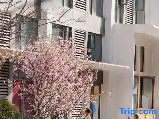 Ruitai Hotel style Apartment (Wuhan Tianhe Airport Aviation Headquarters Subway Station Branch)