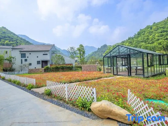 Amber Guanyun Vacation Apartment