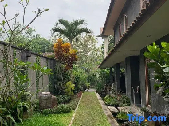 Tranquil place near Merapi Mountain