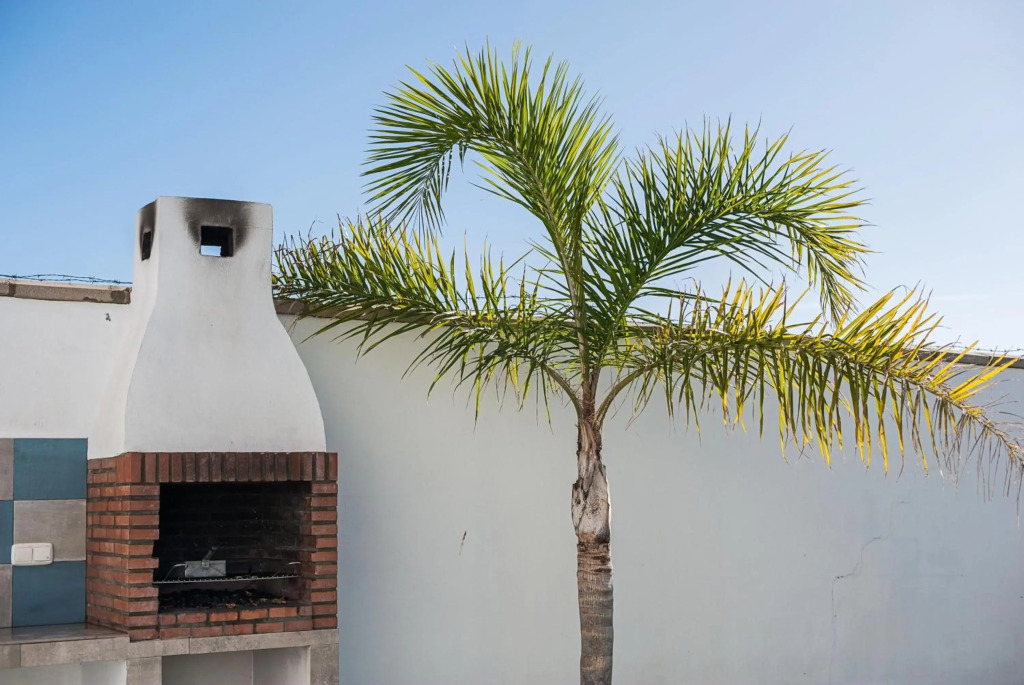 Villa Conilsur 2