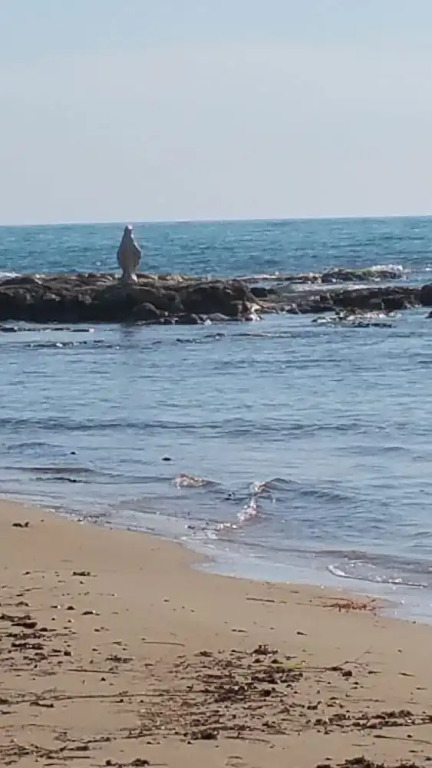 Sole Mare E Relax per Vacanze