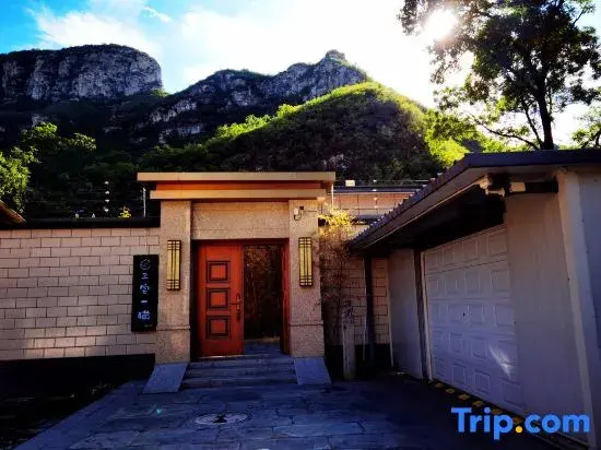 Three Houses and One Cat B&B