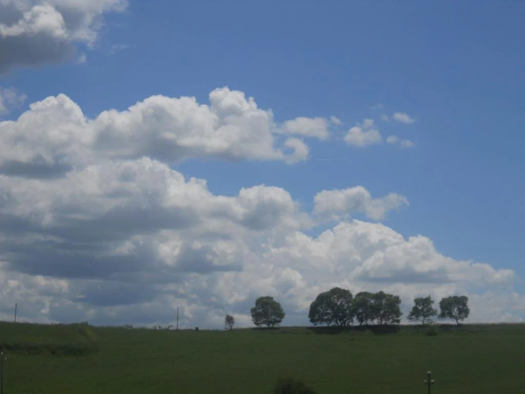 Mandria Del Dottore Toscano