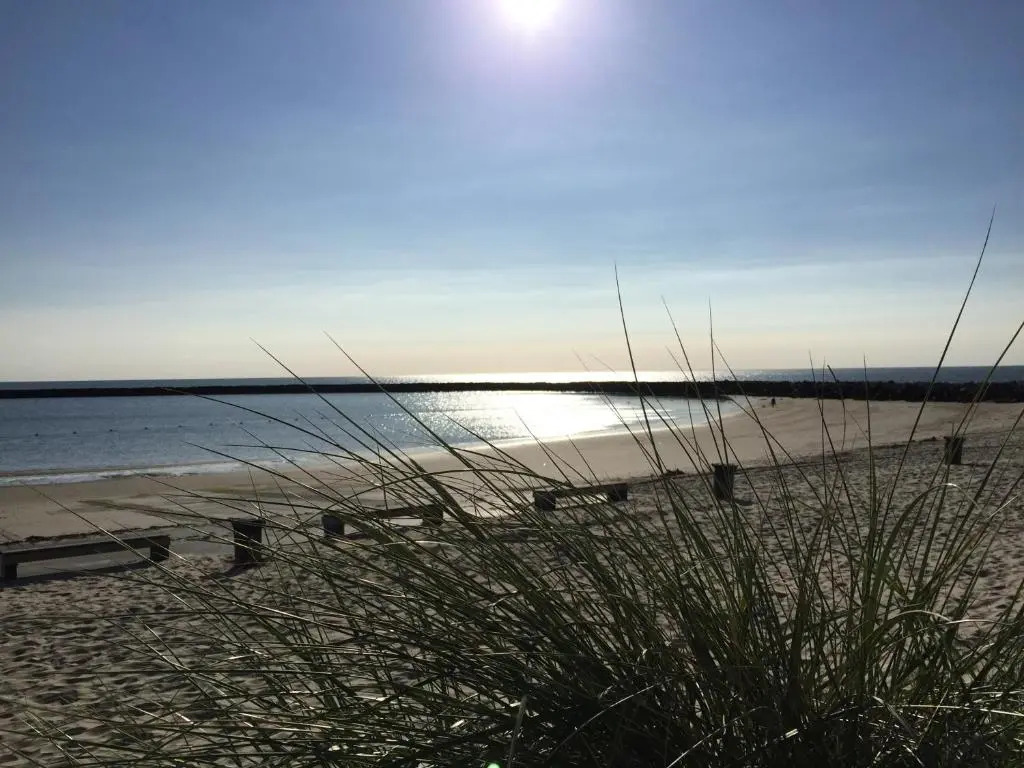 Holiday home Dijkstelweg 30 - Ouddorp with terrace and very big garden, near the beach and dunes - not for companies
