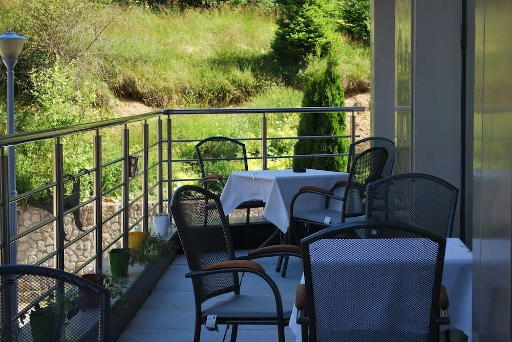 HOTEL CARPAT INN
