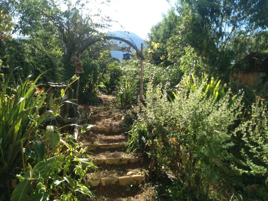 Sitio Alecrim Casa de Cura e Hospedagem