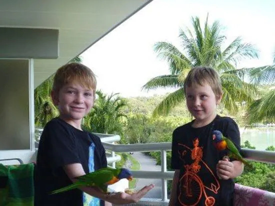 Frangipani Beachfront Lodge 208 on Hamilton Island by HamoRent