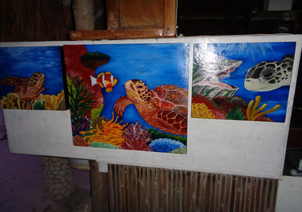 Sea Turtle House Moalboal