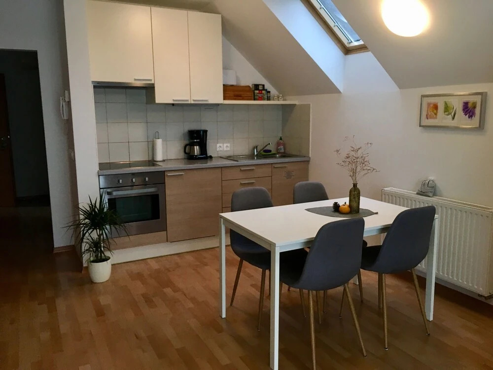 Apartment Muznik