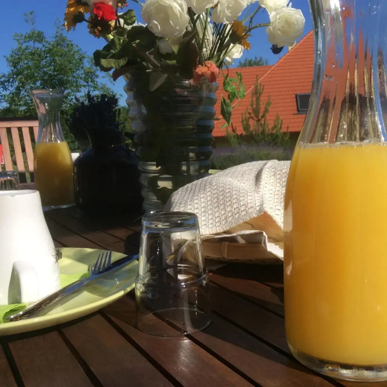 Apartments for Rent near Budapest