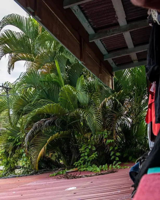 Twin Fin Hostels