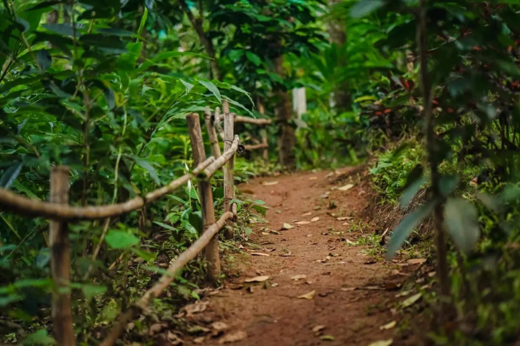 Edens Munnar