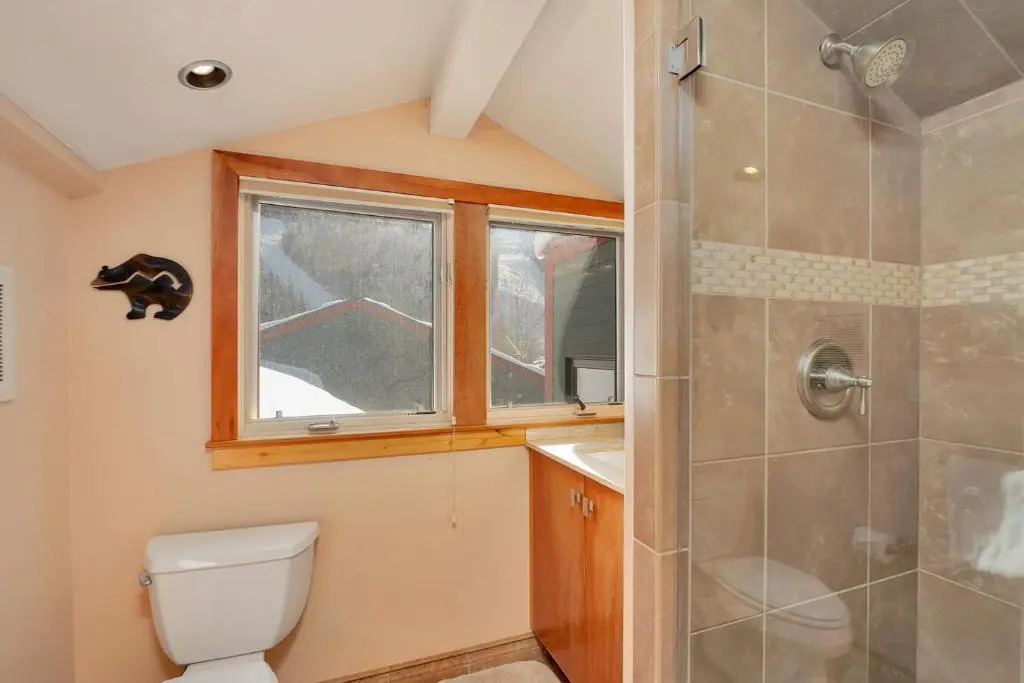 Telluride Lodge Unit 301 - A Lift-Side Condo