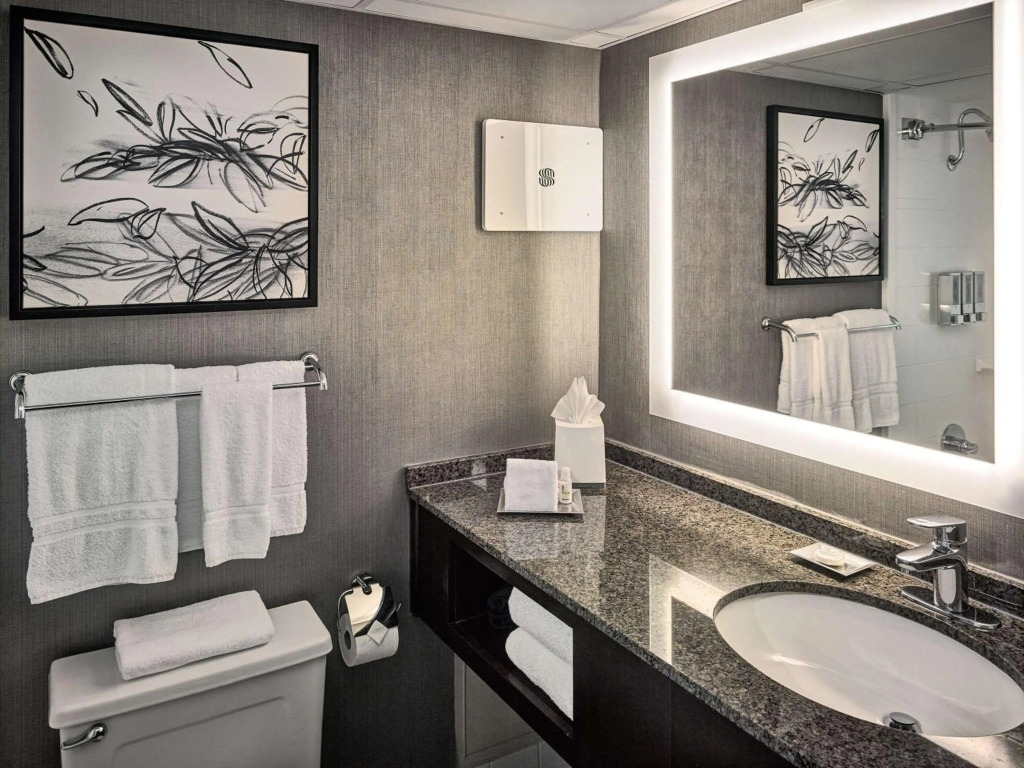 Sonesta Atlanta Northwest Galleria - Marietta