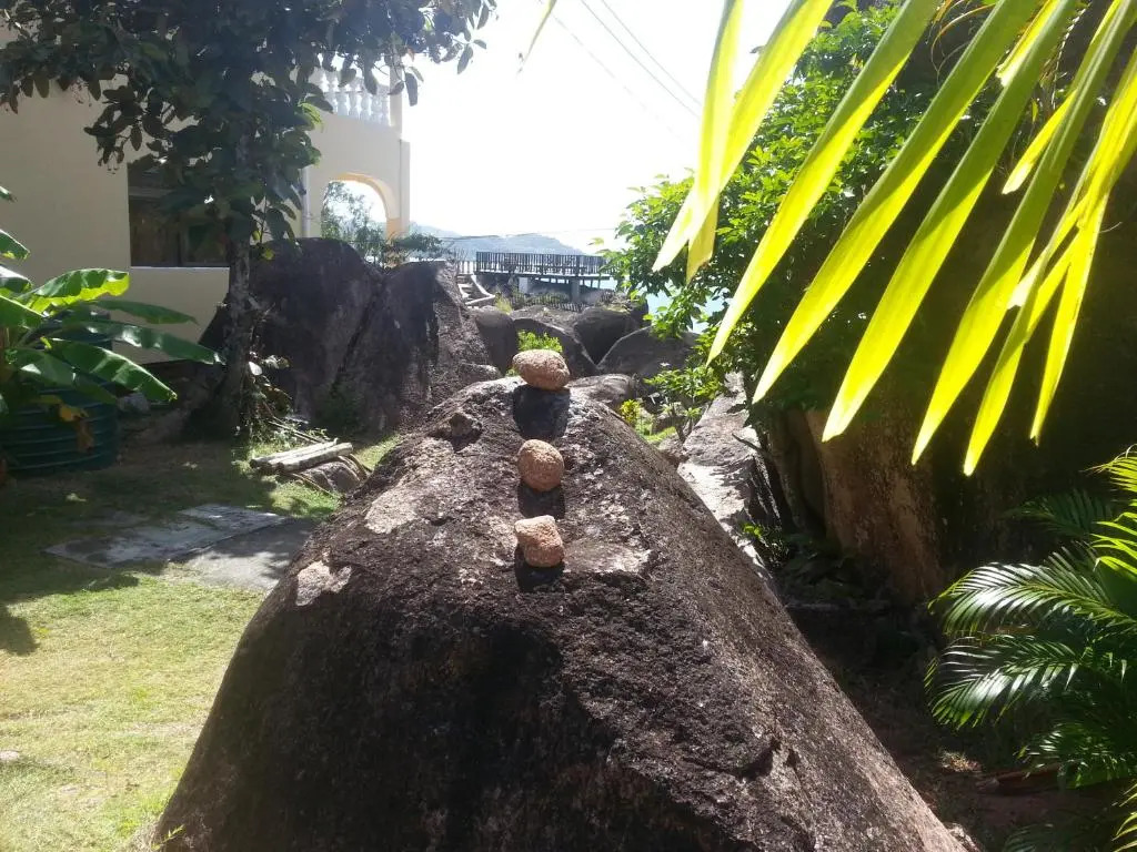 Jardin Marron
