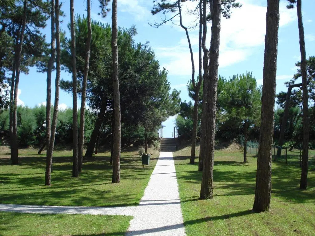 Lovely Apartment Just 40m From the sea